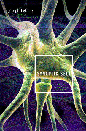 synaptic home1